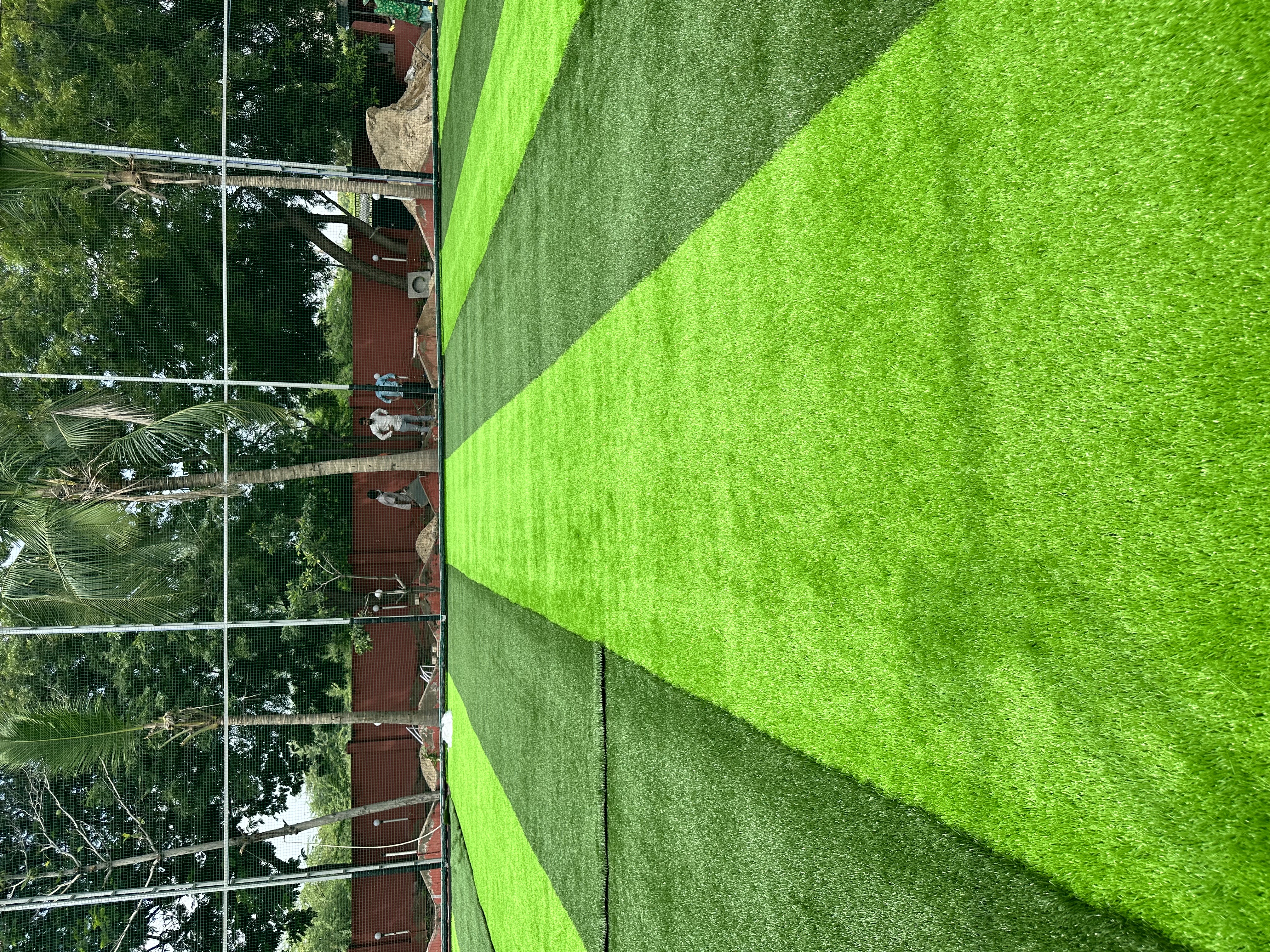 50mm Turf Grass